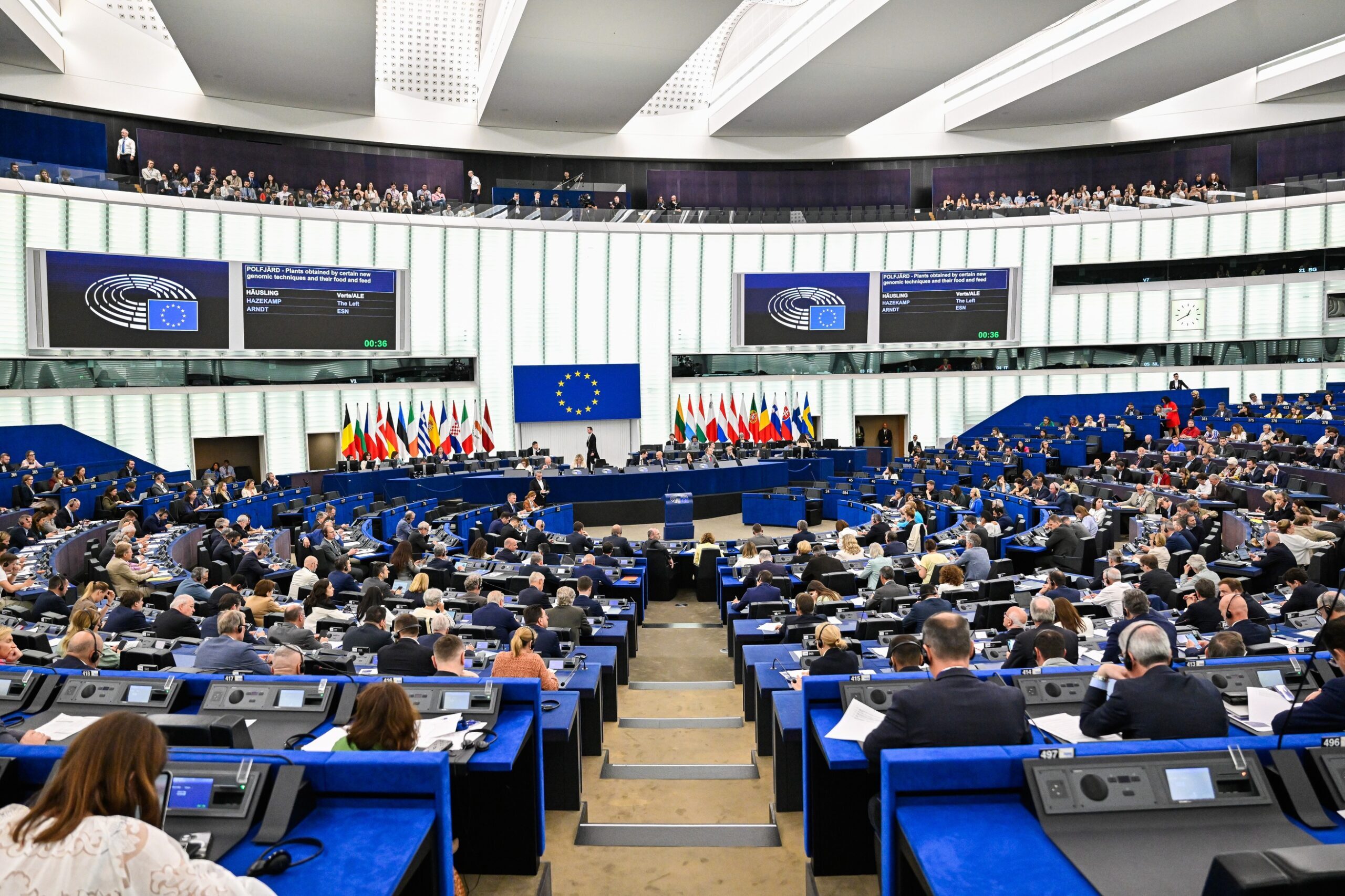 EP-206820D_Plenary_17_Votes