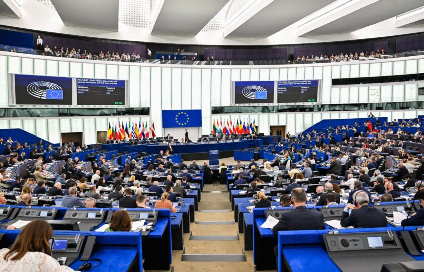 EP-206820D_Plenary_17_Votes