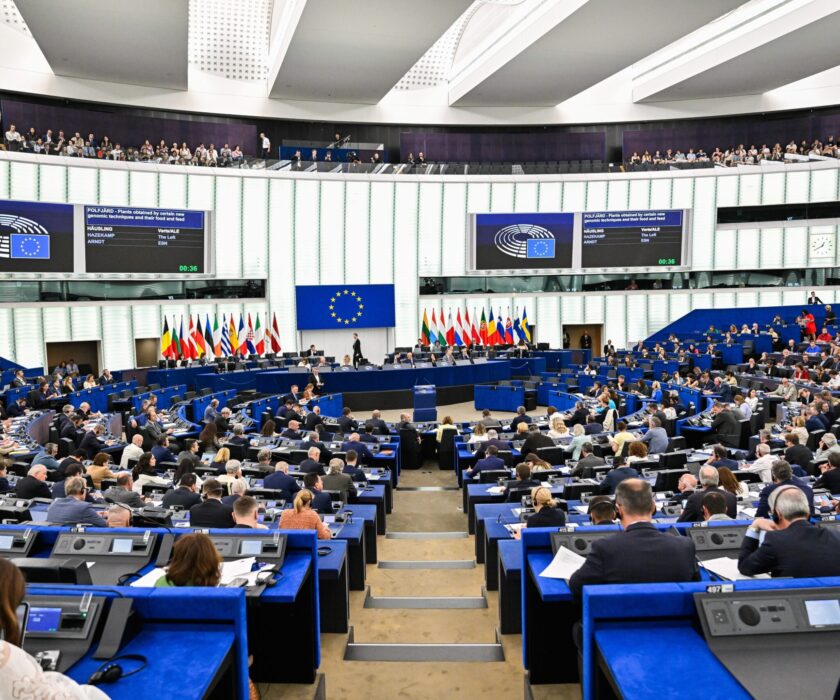 EP-206820D_Plenary_17_Votes